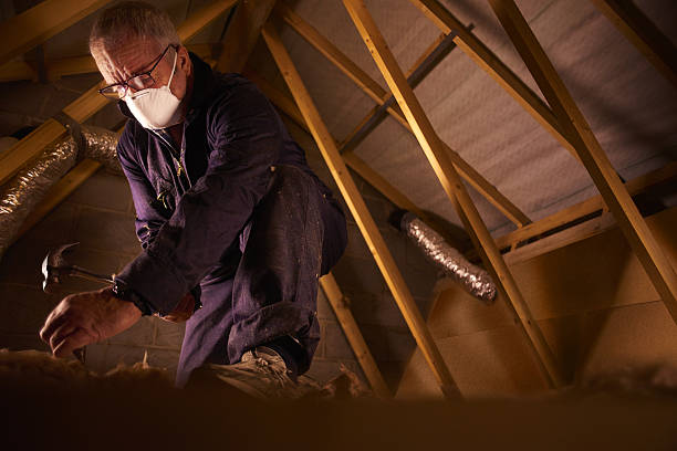 Best Attic Insulation Installation  in Santa Ana, CA